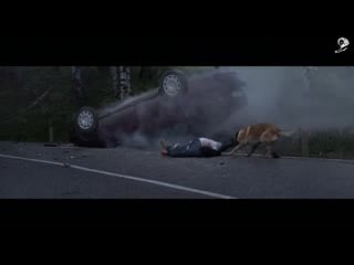 Do not abandon your pet (cannes lions 2017) (480p) mp4