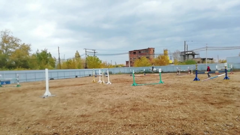 Настя барс 100см