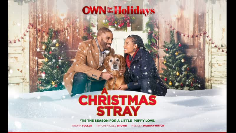 Рождественская дворняжка (2021) a christmas stray