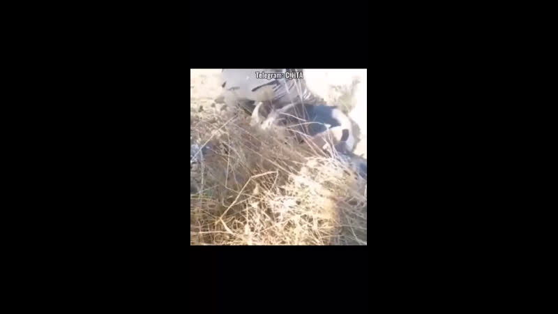 Хабаровский край 2