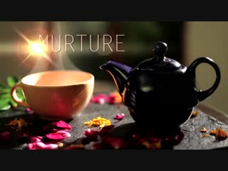 Ananda in the himalayas luxury wellness retreat india