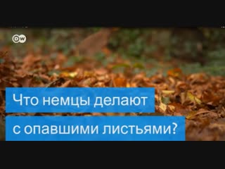 Что немцы делают с опавшими листьями?