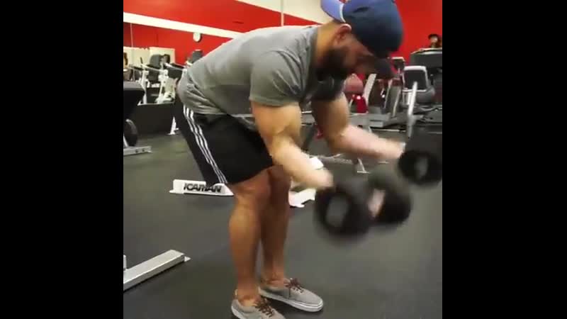 Сгибания зоттмана cub,fybz pjnnvfyf cub,fybz pjnnvfyf cub,fybz pjnnvfyf