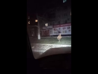 Mansory club|belorechensk live