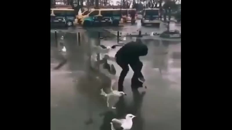 Подножный корм