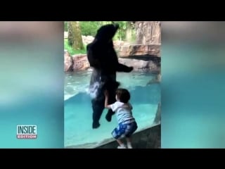 Bear jumps to mimic boy at nashville porn