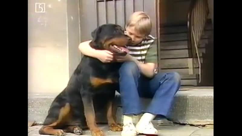 Альфонс циттербаке / alfons zitterbacke (1986 гдр) часть 1 ( комедия молодые в кино )