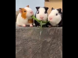 Absolutely riveting storyline here folks