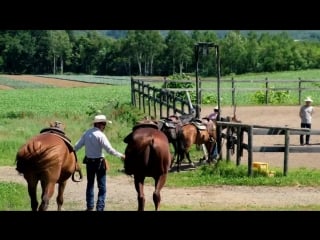 Horseback riding