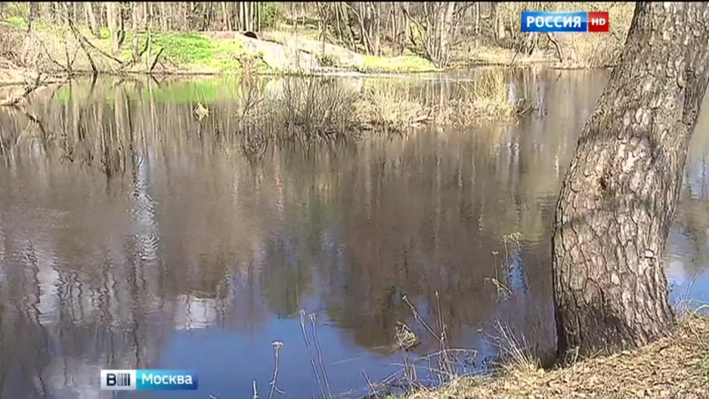 В подмосковье активизировались гадюки