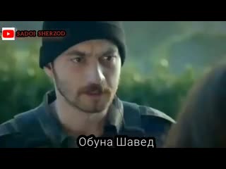 Ошики heart cupid бехтаринхо2020 суруди бехтарини точики tj heart cupid ( 480 x 480 ) mp4