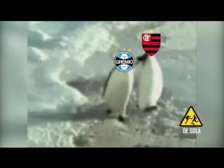 O @flamengo deixou o @gremio pelo caminho na copa do brasil mp4