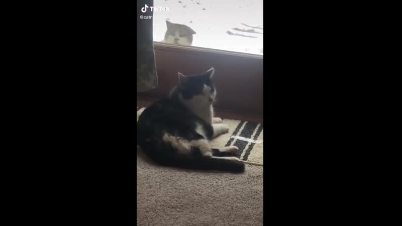 Не нарисованный