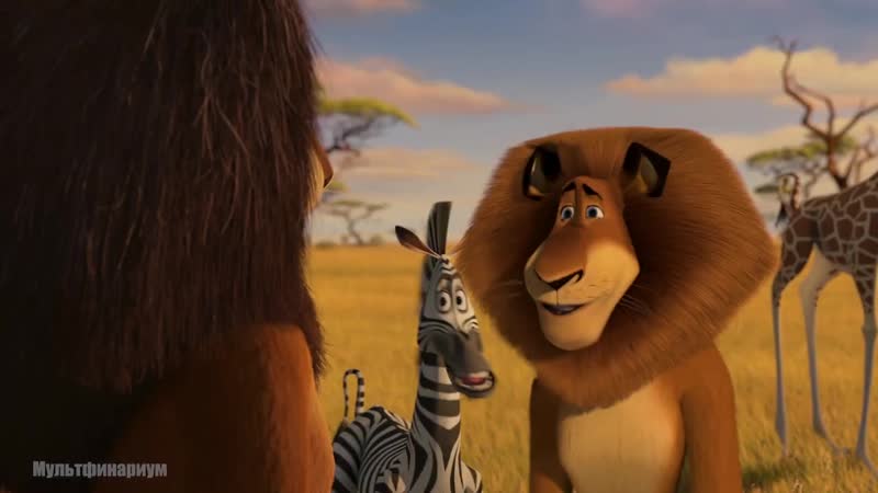Бёдра влево! бёдра вправо! бёдра, бёдра, бёдра, бёдра! мадагаскар 2 (2008) год