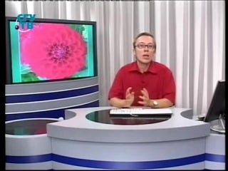 Цветы урок 4 2 самые эффектные многолетники часть 2