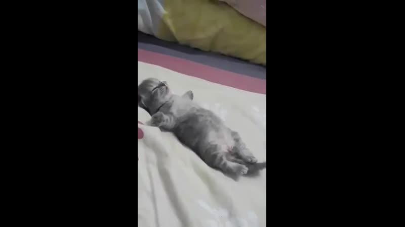 Хонджун как то сказал, что юнхо, когда спит, вообще не двигается, но одна его нога иногда дергается