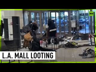 Gang of 50 looters ransack l a mall