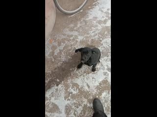 Video 20201212 122710 mp4