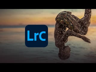 Adobe lightroom classic v11 5 macos