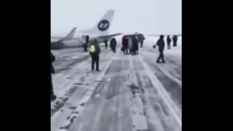 Видос с места аварийной посадки mp4