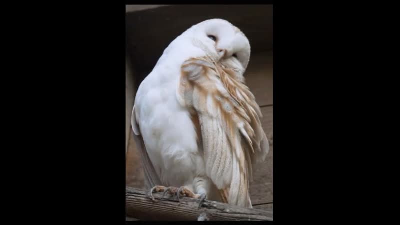 Запомни надо себя беречь