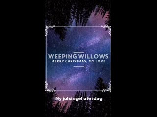 Weeping willow s insta stories