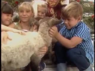 Mary had a little lamb nursery rhyme video by kidsongs baby songs best porn