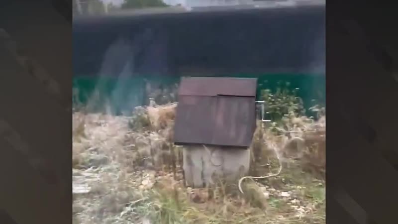 [токсичный ] рукожопы синдиката отдых на даче // дубровский синдикат