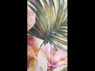 Коллекция caro borneo