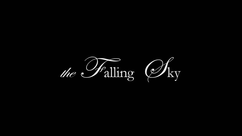 The falling sky (2018) dir peggy ahwesh