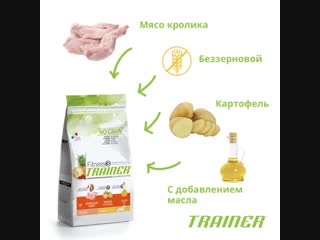 Trainer fitness3 no grain mini adult rabbit and potatoes