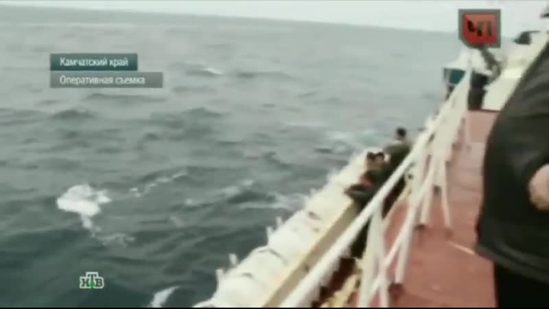 Пограничники с камчатки