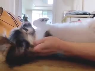 [200906] taeyong bubble