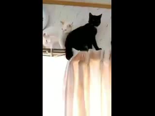 Jinmin by porn ⁺¹⁸