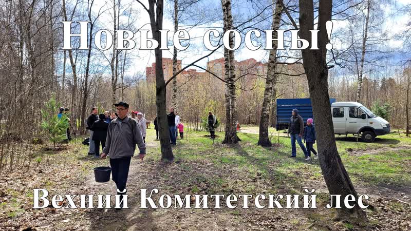 В верхнем комитетском лесу посадили новые деревья! акция "лес победы" г королёв