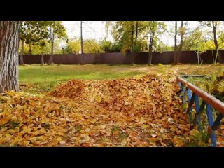 Vid 20201001 125912 mp4