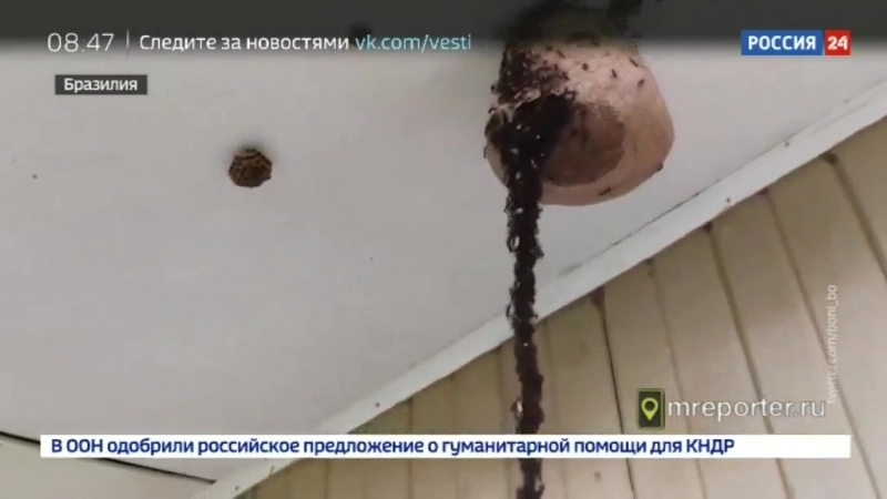 Программа "мобильный репортер" от 7 августа 2018 года