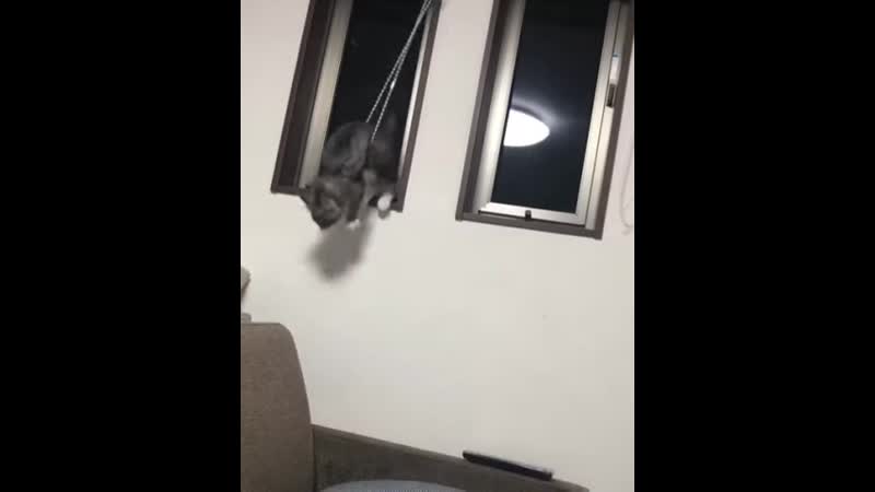 Моя жизнь выглядит примерно так