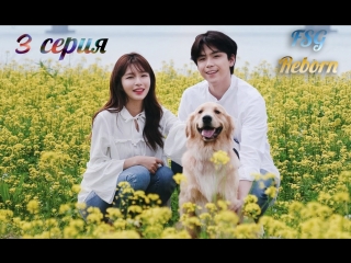 [fsg reborn] моя щенячья любовь | my woofy poofy love 3 серия