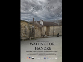 “waiting for handke” by goran radovanovic