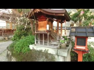 Walking around old japanese shrines