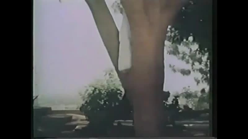 Dekha jo tujhe ko to pyar ho gaya zakhmi sher (1984)