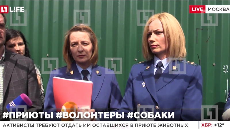 Прокуроры разрешили зоозащитникам и представителям прессы пройти на территорию приюта для молодые "эко вешняки"