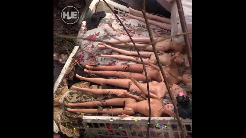 В дубне женщина устроила свалку посреди леса и называет это дело музеем