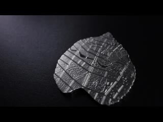 Kolekcijas monēta liepas lapa