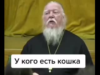 Кошка молится mp4