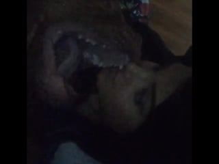 «blasts me with his dog breath and i still love him»