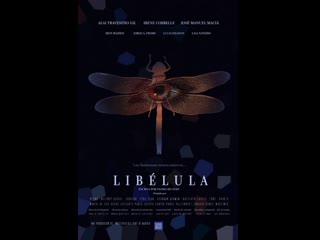 Стрекоза (2022) dragonfly (libélula)