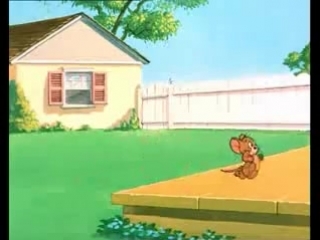 Tom and jerry 060 slicked up pup (вымытый щенок)