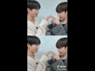 🐹🦊 || tiktok 201123